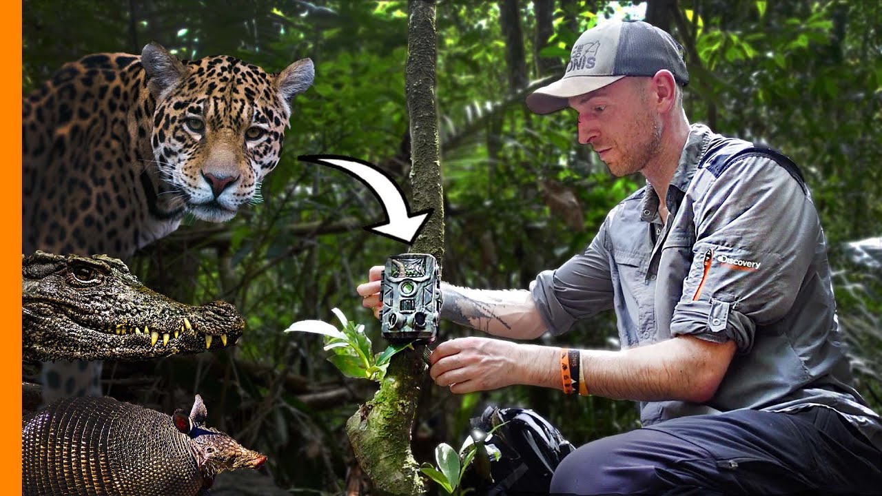 Tierjagd mit Wildkameras im AMAZONAS - Teil 1: Vorbereitung der Expedition!