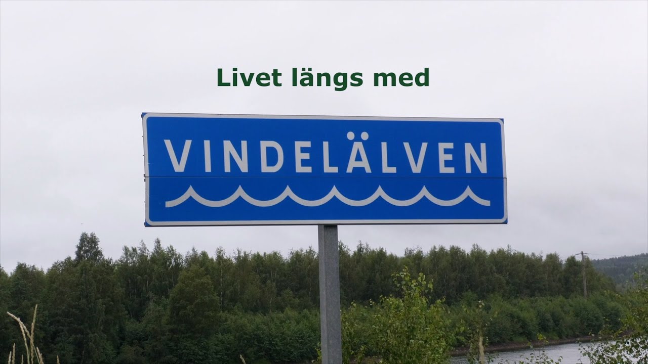 Livet längs med vindelälven