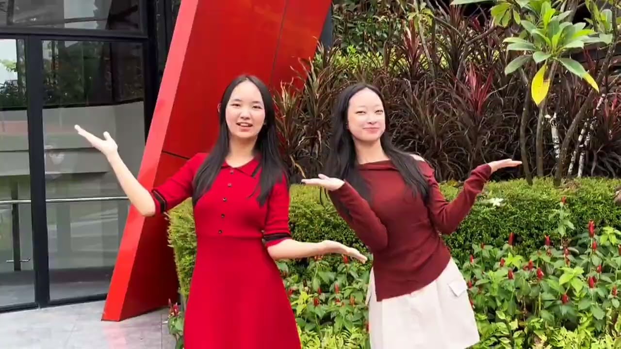CHINESE NEW YEAR MV