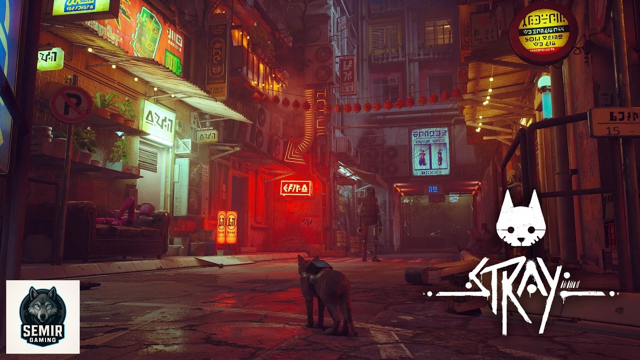 🔴🐱🎮 STRAY LIVE – Najbardziej klimatyczna gra o kocie!🔴