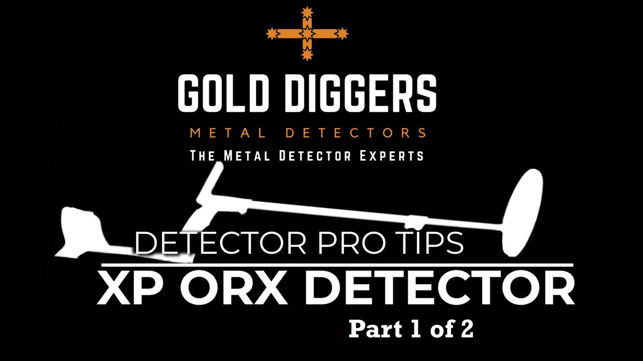 Detector Pro Tips XP ORX Detector Part 1