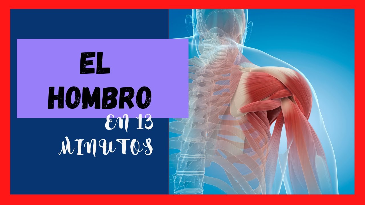En 13’ 😮APRENDERÁS TODO lo que necesitas saber del HOMBRO