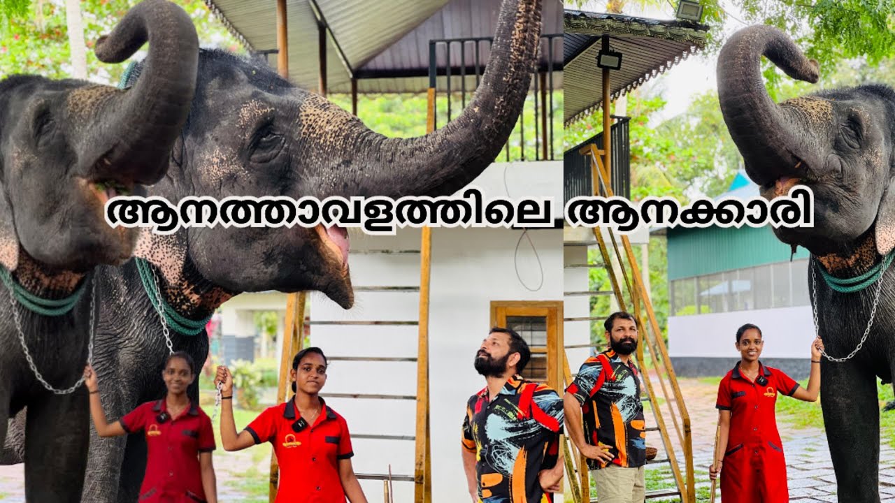 ആനത്താവളത്തിലെ ആനയെനോക്കുന്നത് ഈ ആനക്കാരി പെൺകുട്ടിയാണ്