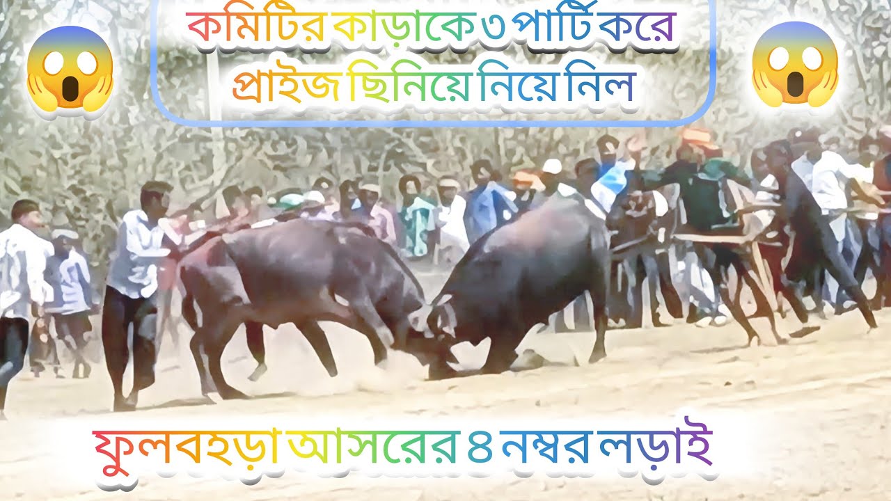 কমিটির কাড়াকে পাল্টি করে প্রাইজ নিয়ে নিল। 😱😱#viral #karalorai #purulia 