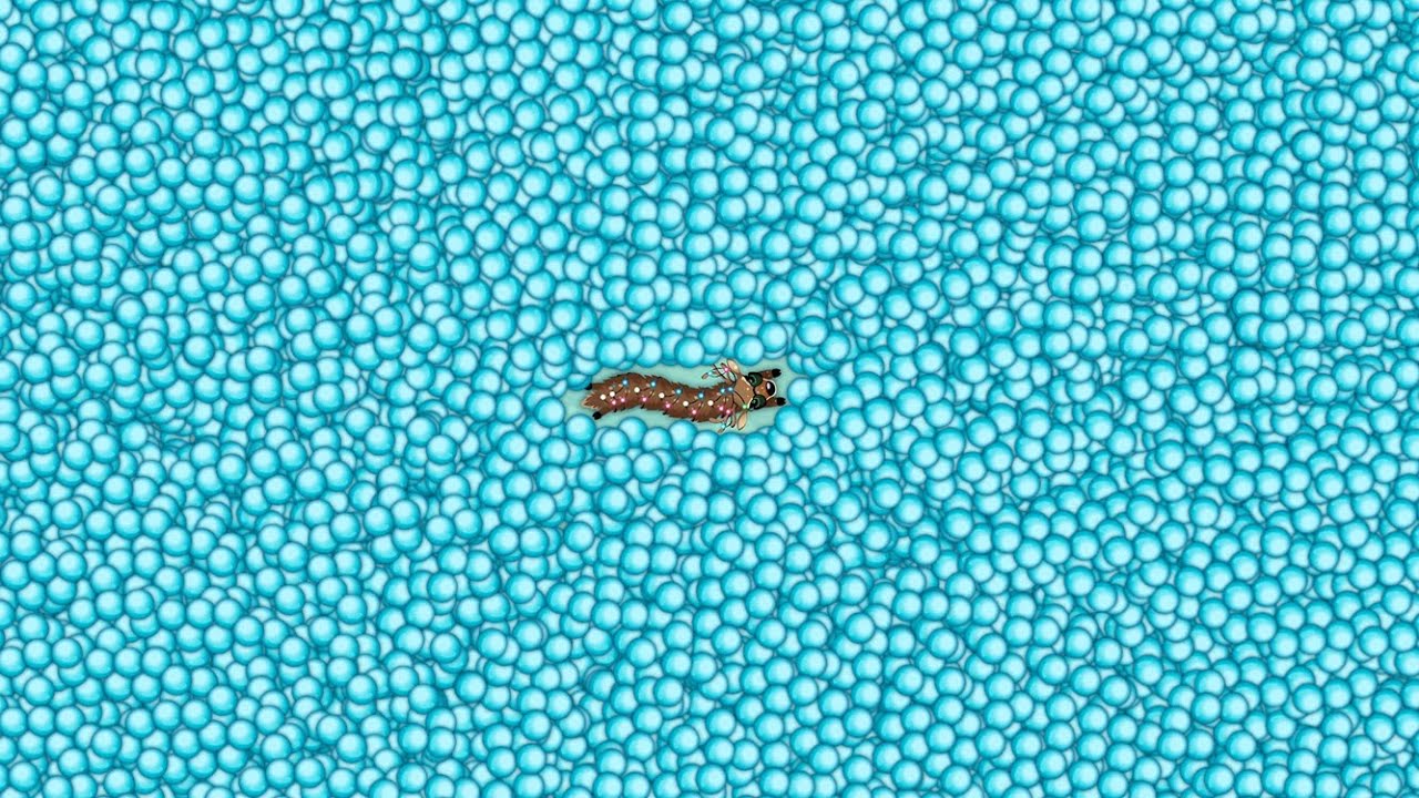 Snake.io Lovely Snake Nora Skill Epic Snake io Game!