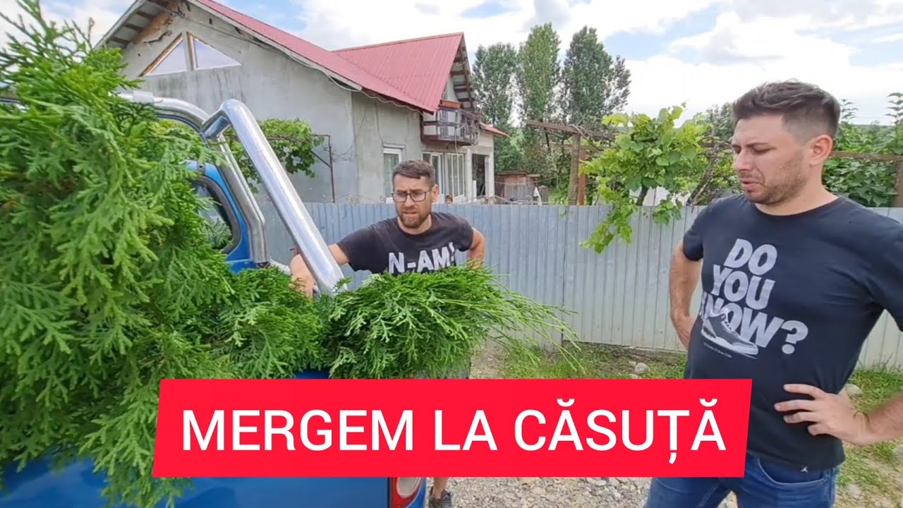 TIBERIU SI CORNEL NU BĂNUIESC CE URMEAZĂ SA FACEM LA CASUTA DIN PADURE ⚡Ionut Ghita