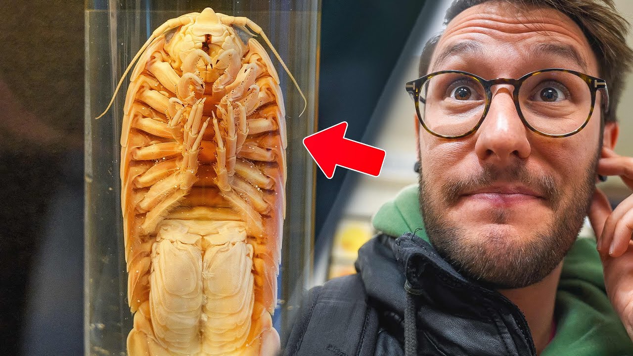 Dentro al MUSEO dei PARASSITI di TOKYO 🇯🇵 (da vedere a stomaco vuoto)🦠🤢