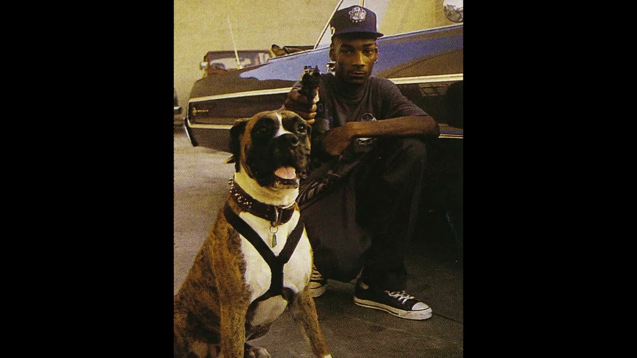 [FREE] Snoop Dogg Type Beat | 90s Hip Hop | Groove Street | Prod. Arnaiz