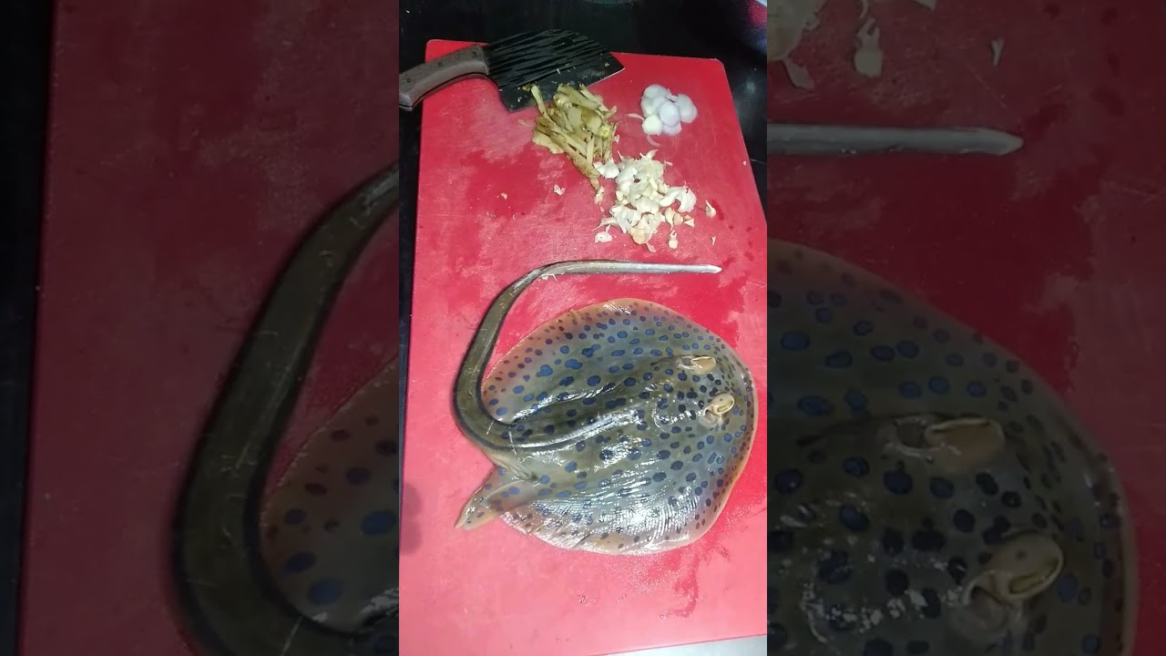 Stingray Recipe #stingray #exotic #asmr #amazing
