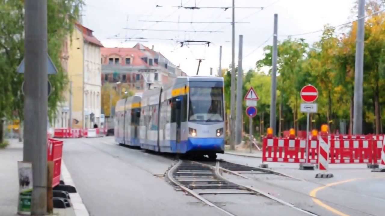 Leipziger Leoliner auf Kletterweiche in Torgauer Stra&szlig;e
