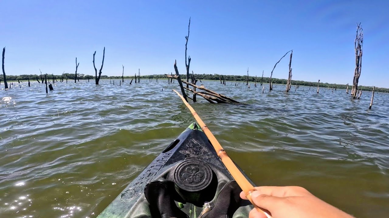 PESCARIA NO RIO TIET&Ecirc;, ACHAMOS OS PEIXES TUDO BEIRANDO OS TRONCOS