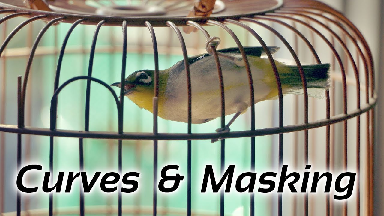 Advanced Exposure Correction: Curves and Masking