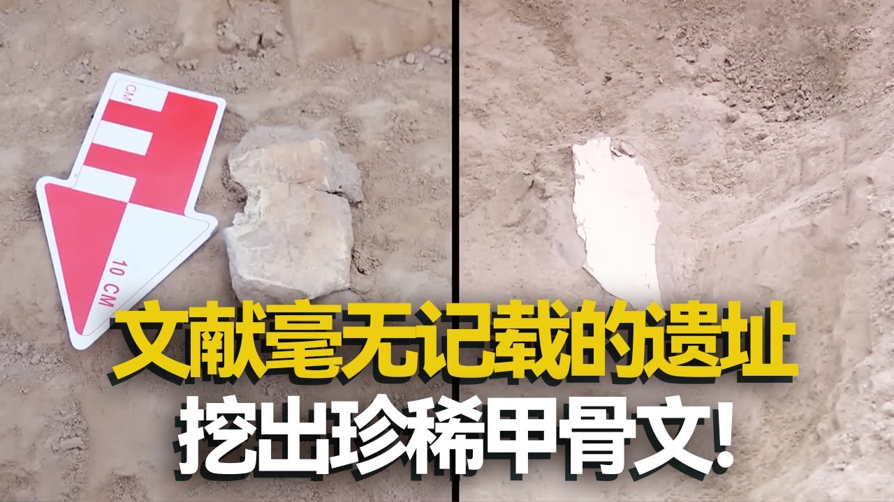 姚河塬惊现62万平方米城址！挖出微刻甲骨文 规格等级很高 文献中却无任何记载！ ——消失的诸侯国特辑 丨 中华国宝