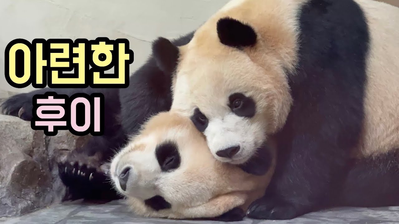 유독 웅니를 많이 찾았던 하루💜🩷