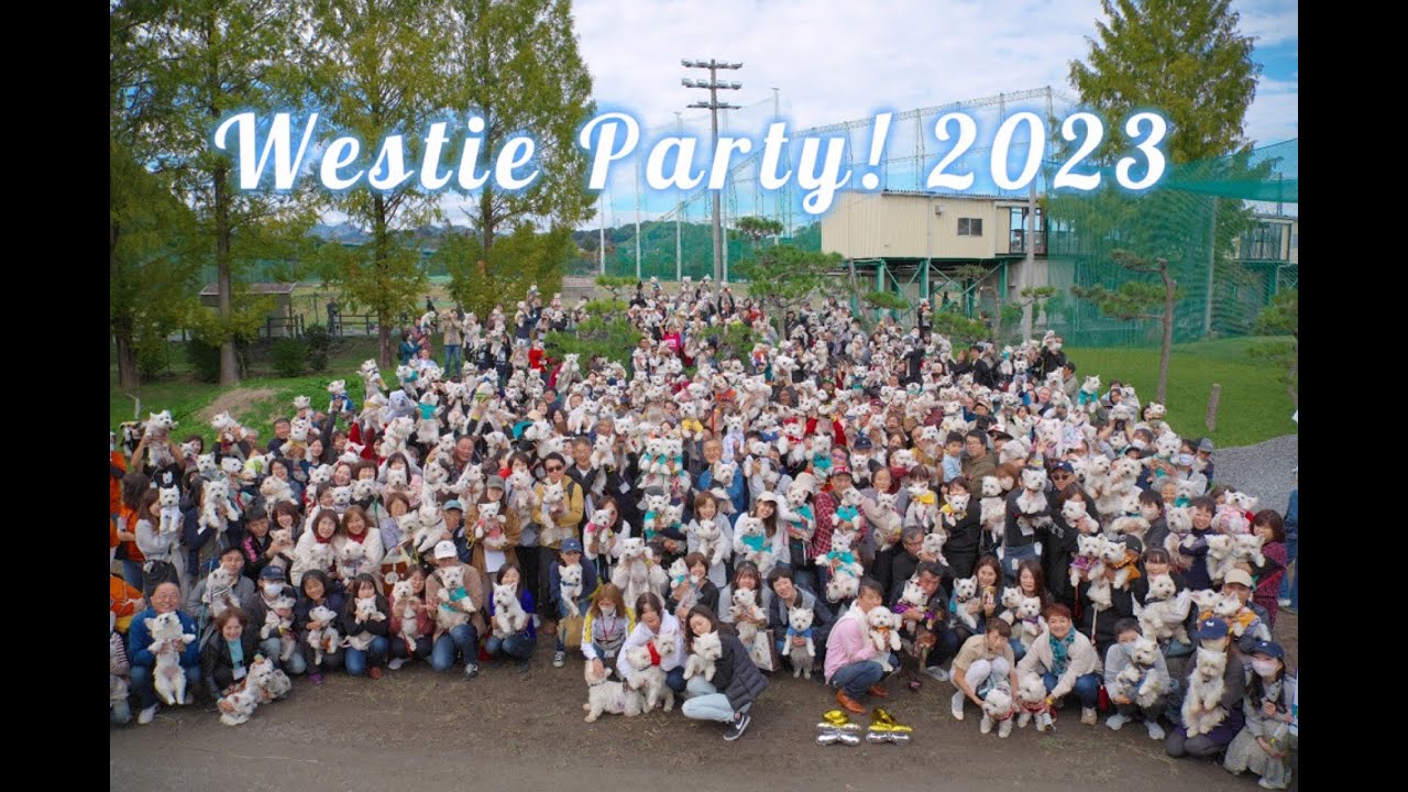 The BIGGEST Westie Dog Meet | Westie Party Japan 2023 | ウェスティパーティー