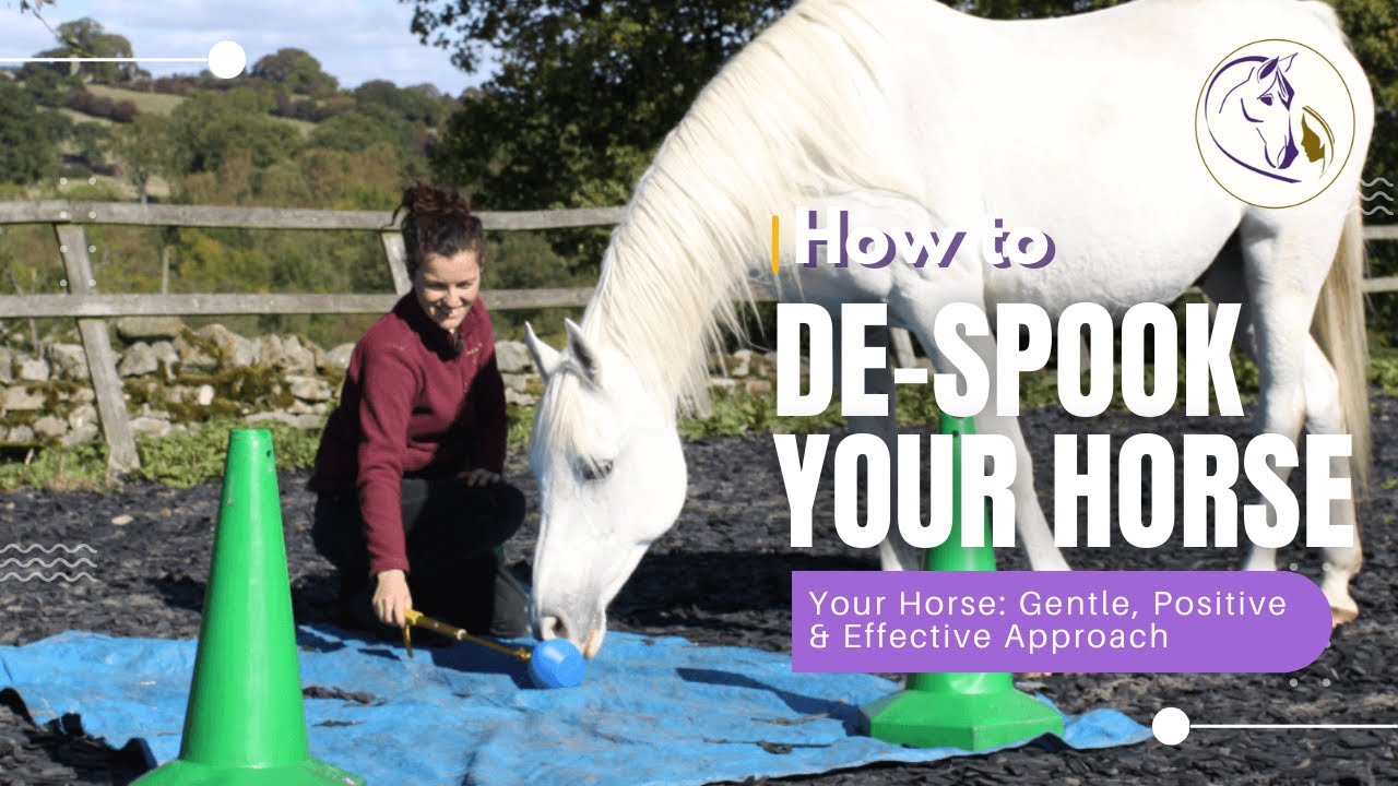 How to De-Spook Your Horse: Gentle, Positive and Effective Approach
