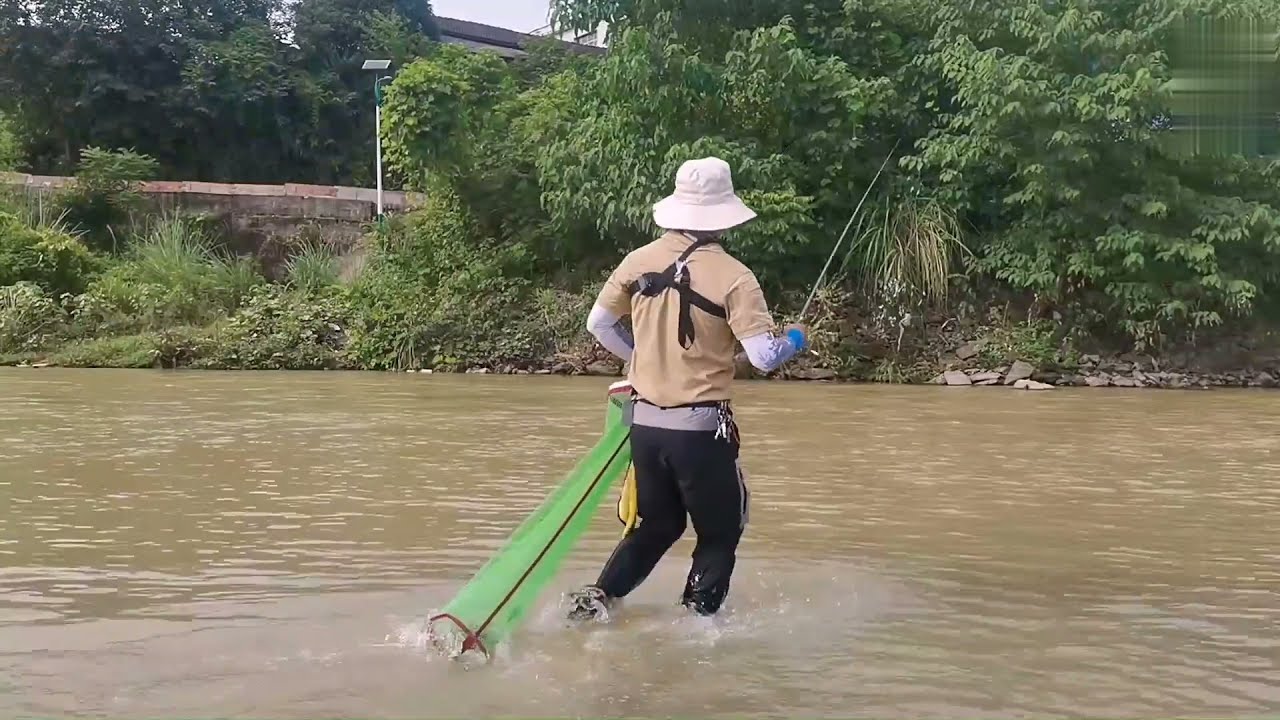 急流中作钓的老陈，终于明白了急流藏大货，钓上来的都是怪物级的