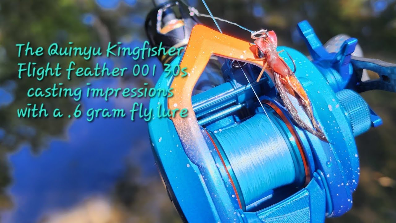 Testing The Quinyu Kingfisher Flight Feather 001 30s Bfs Reel