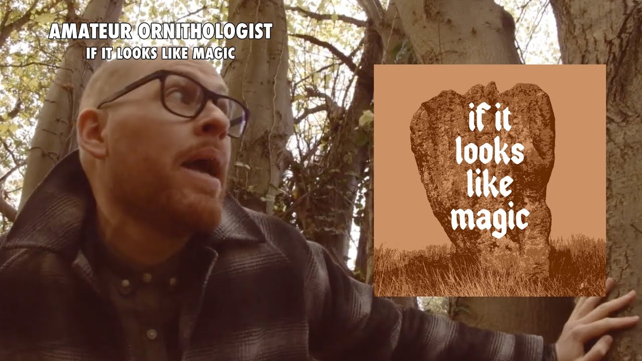 Amateur Ornithologist - If It Looks Like Magic (Official music video)