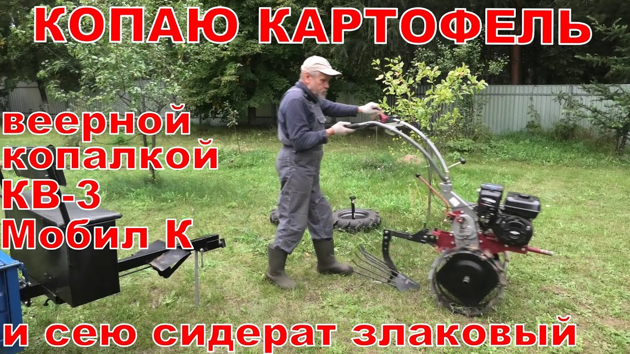 Копаю картофель веерной копалкой КВ-3 Мобил К.