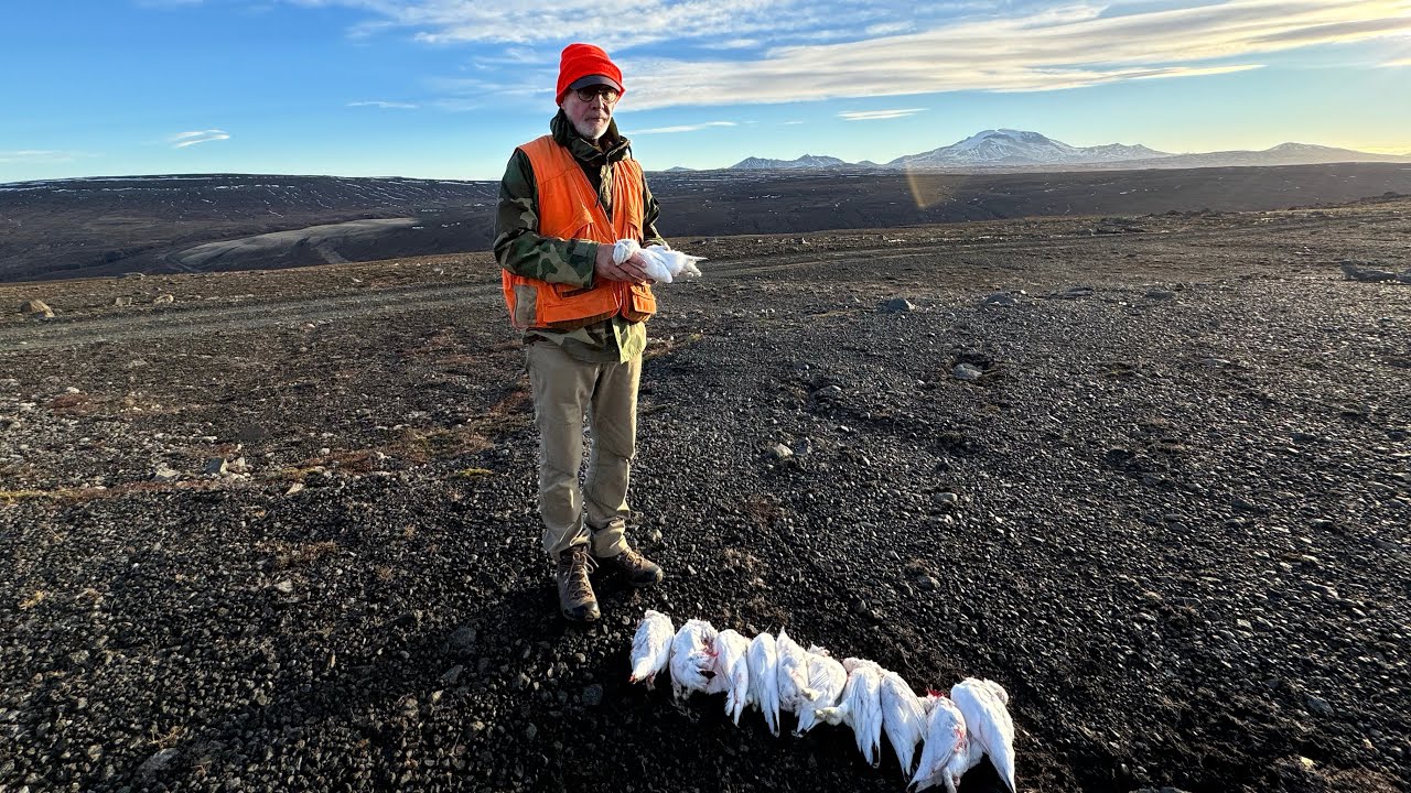 3 Days of Ptarmigan Hunting in the East of Iceland