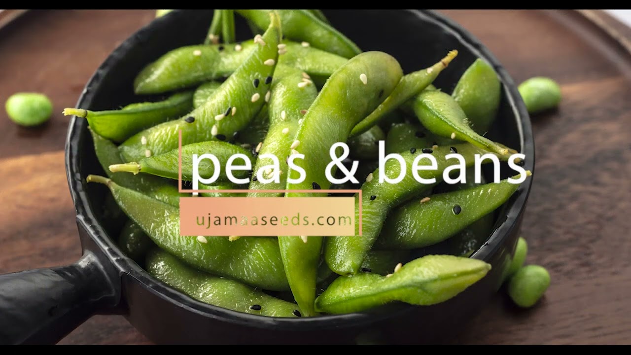 UJAMAA SEEDS VARIETIES