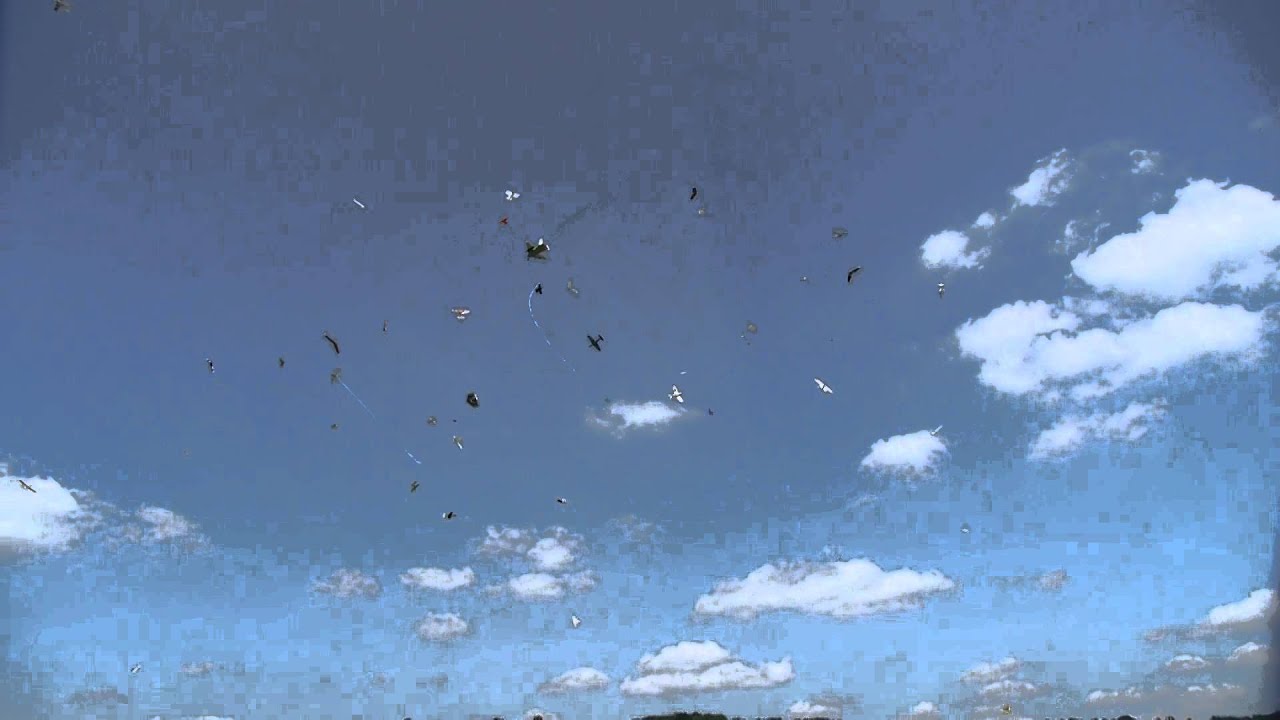 Flite Fest 2015 combat [raw]