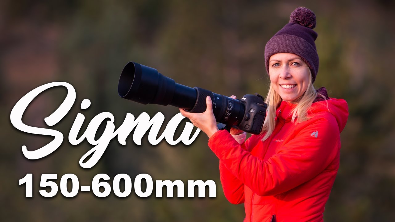 Sigma 150-600 мм ПЕРВЫЕ ВПЕЧАТЛЕНИЯ от фотосъемки дикой природы