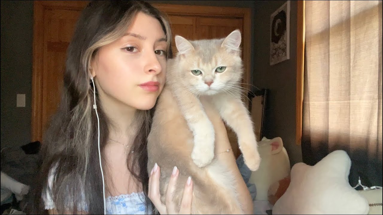 ASMR Get Ready With Me 🩵🪻🌧️ ~ makeup & skincare routine, my new kitten, soft spoken ☁️