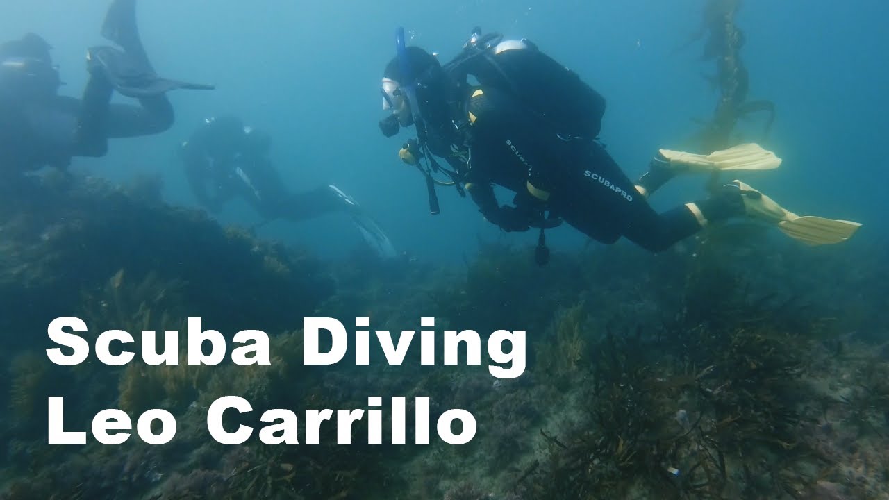 Leo Carrillo Beach Dive