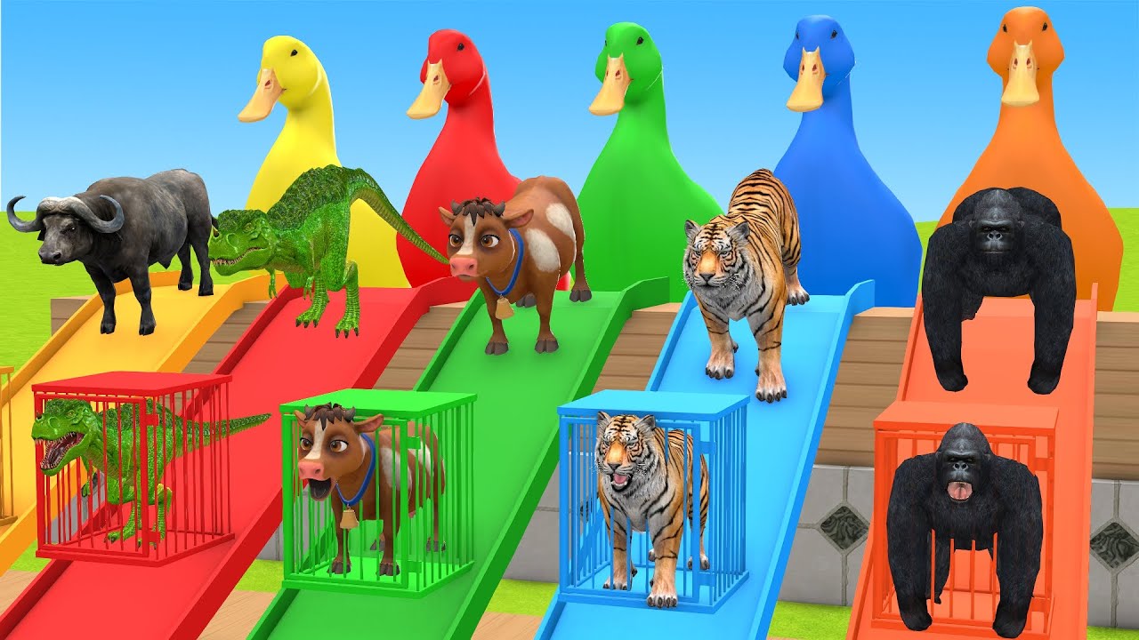 5 Patos gigantes, un Gorilla, una gallina, un perro, una oveja. &iexcl;AVENTURA 3D CON ANIMALES 2024!
