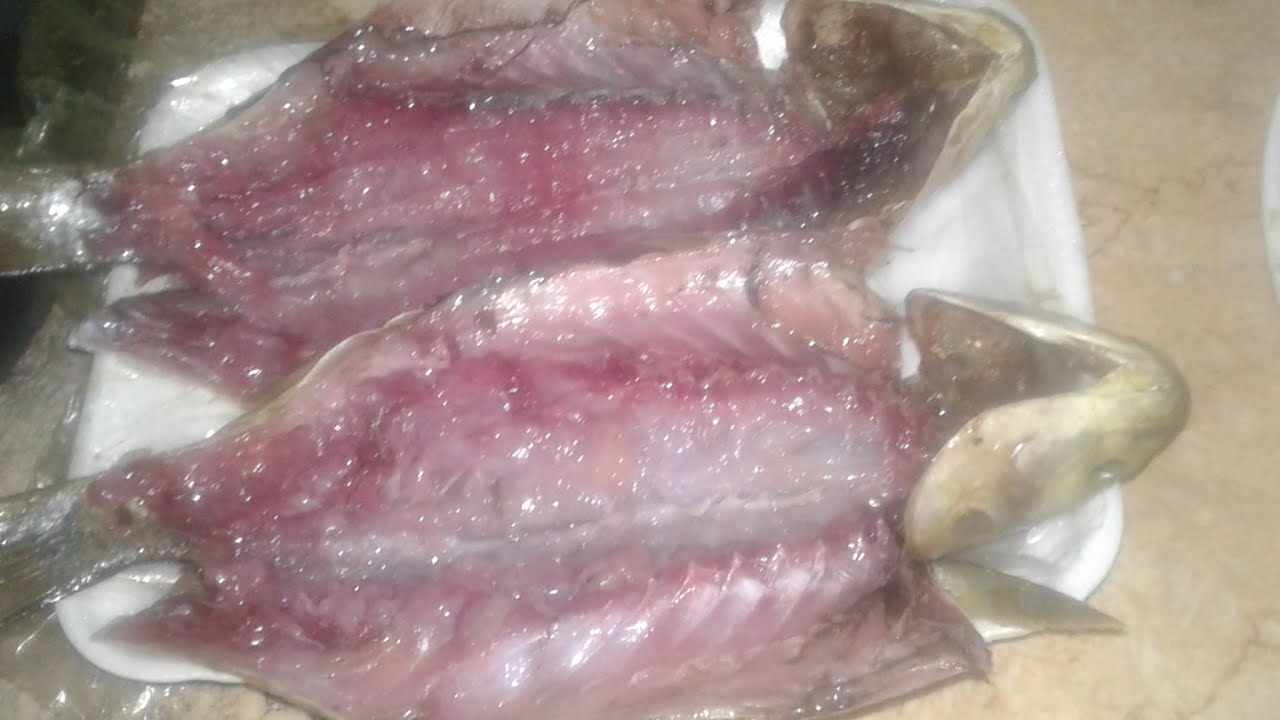 لو عايز تعرف ازاى تعمل مشروع ناجح من الفسيخ وتكسب منه بعد 6 ايام شوف الفيديو ده