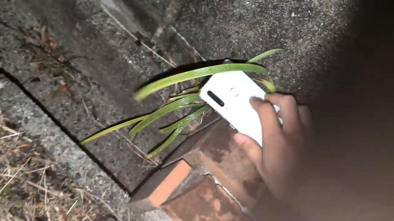 Huawei P30 Lite Destruction!