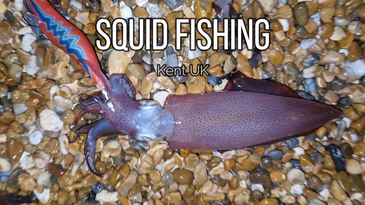 Squid Fishing in tough Conditions| Kent UK