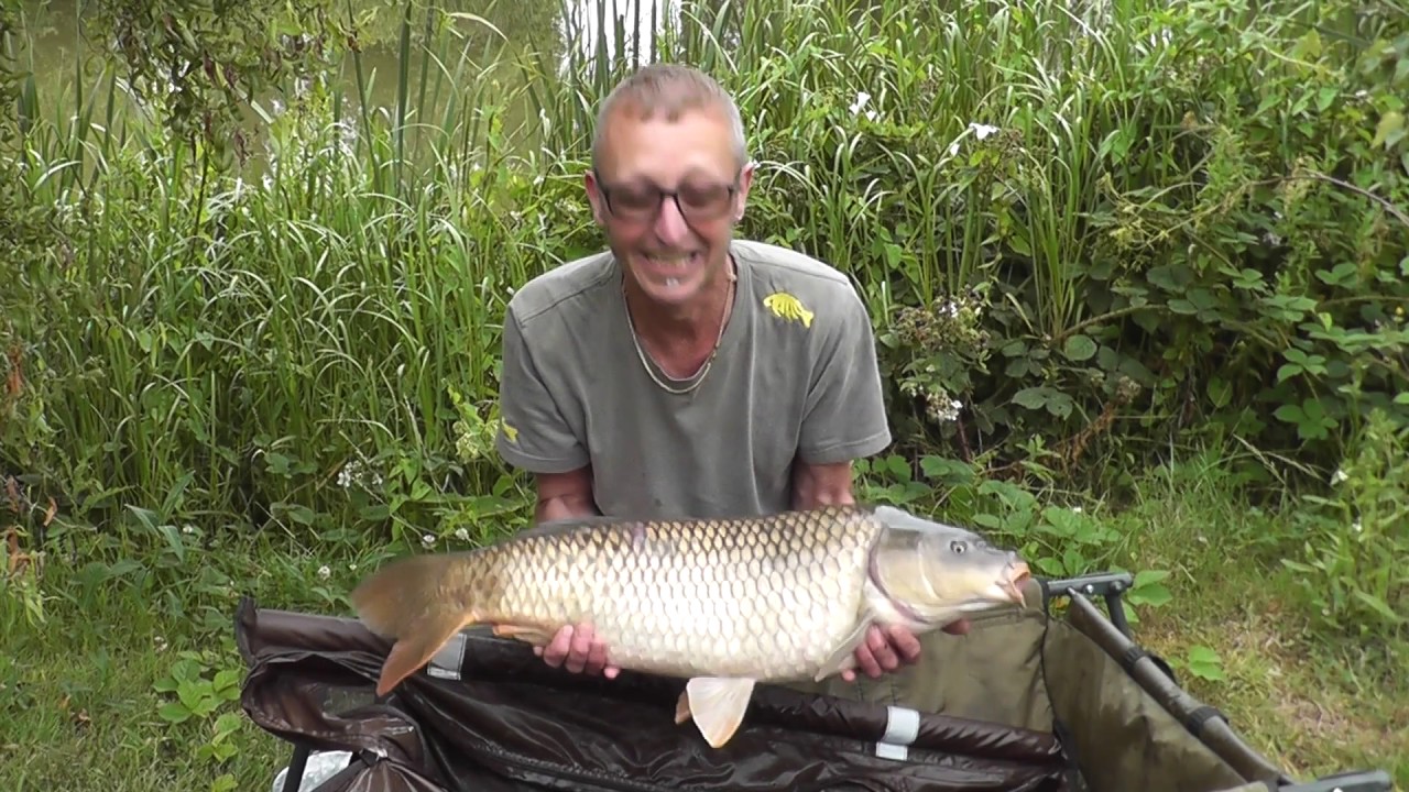Finally Back On The Bank At Bearley July 2017