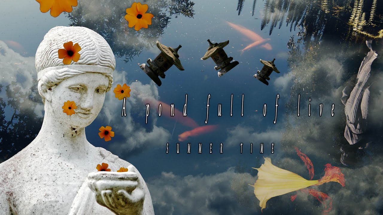 A pond full of live....Summer part 2