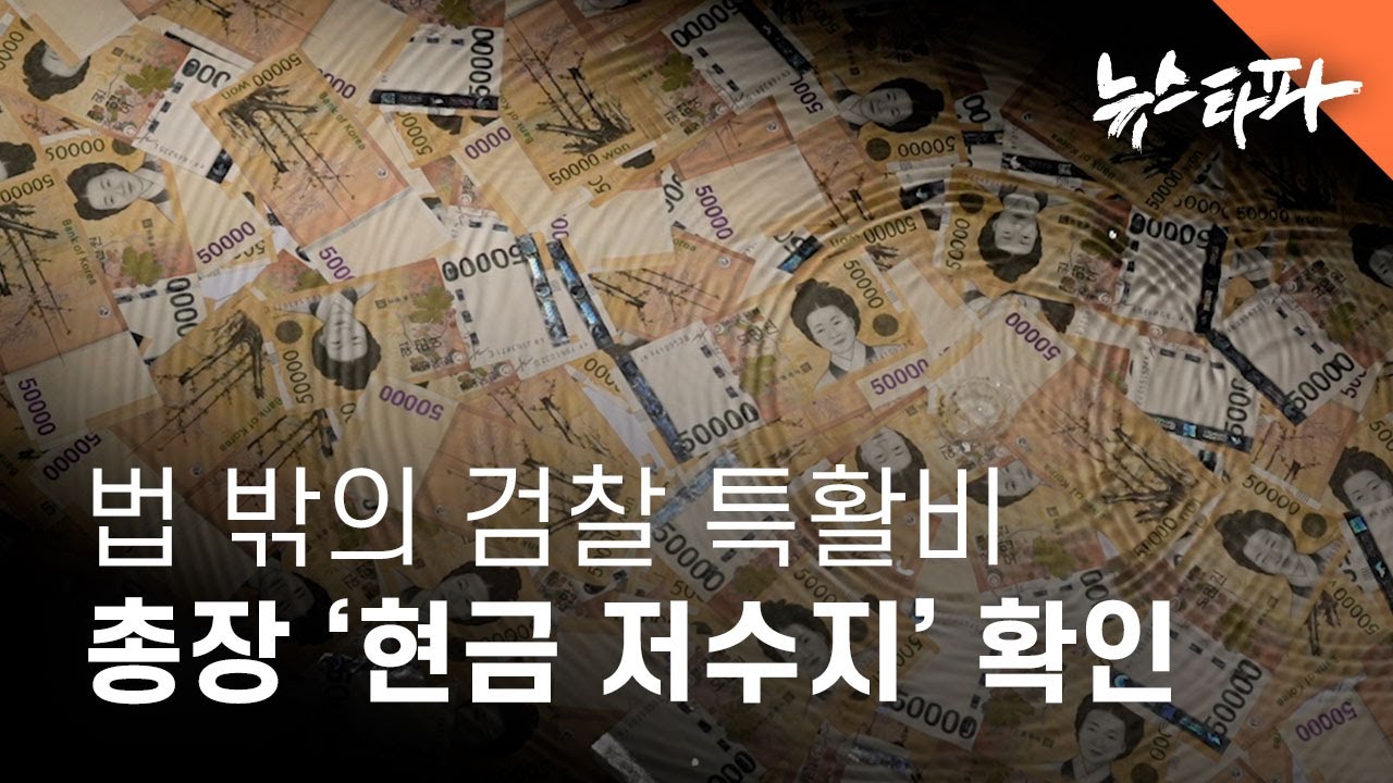 검찰총장의 ‘현금 저수지’ 확인... 법망·국회 통제 교묘히 회피 - 뉴스타파