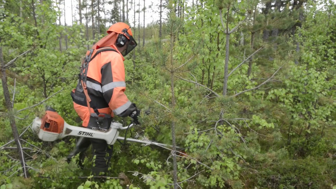 Havaintometsa Suomussalmi