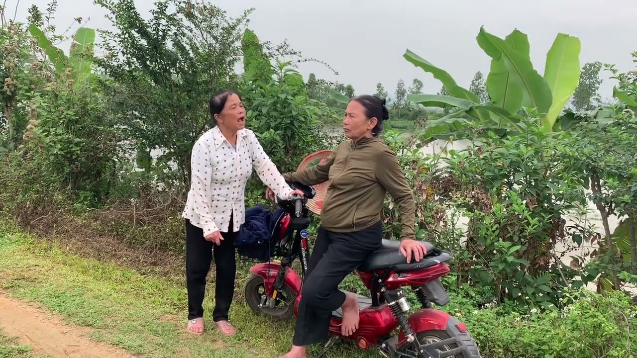 Cang Mu hải Dụ Bà lan để Đêm Tối mới hành động