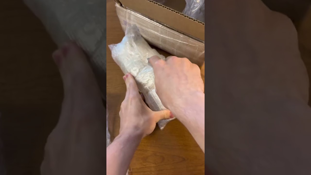 Unboxing 200 Old Silver Dollars! these canvas bags always make me feel like an old timey bank