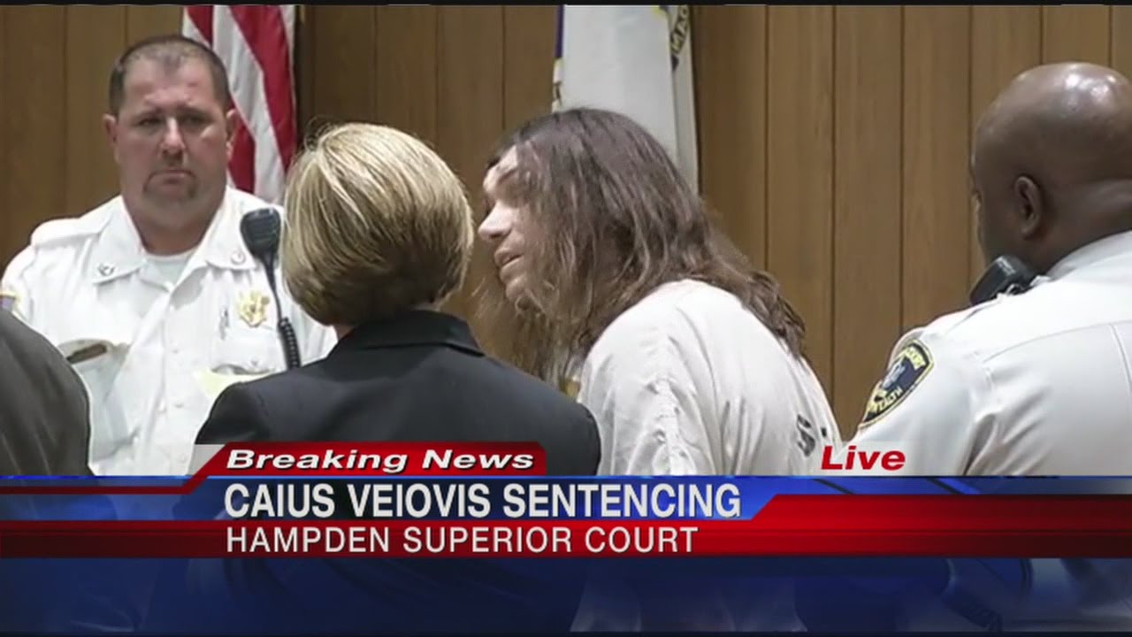 Caius Veiovis addresses the court at sentencing