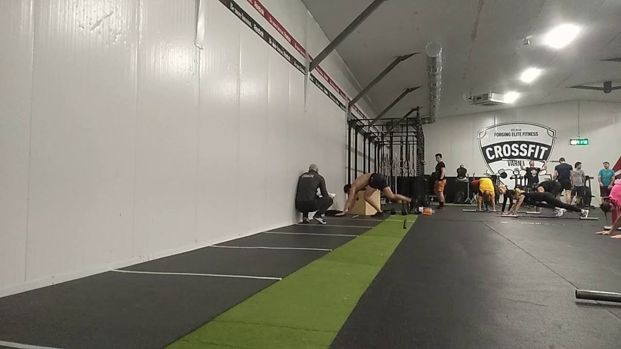 19.3 scaled