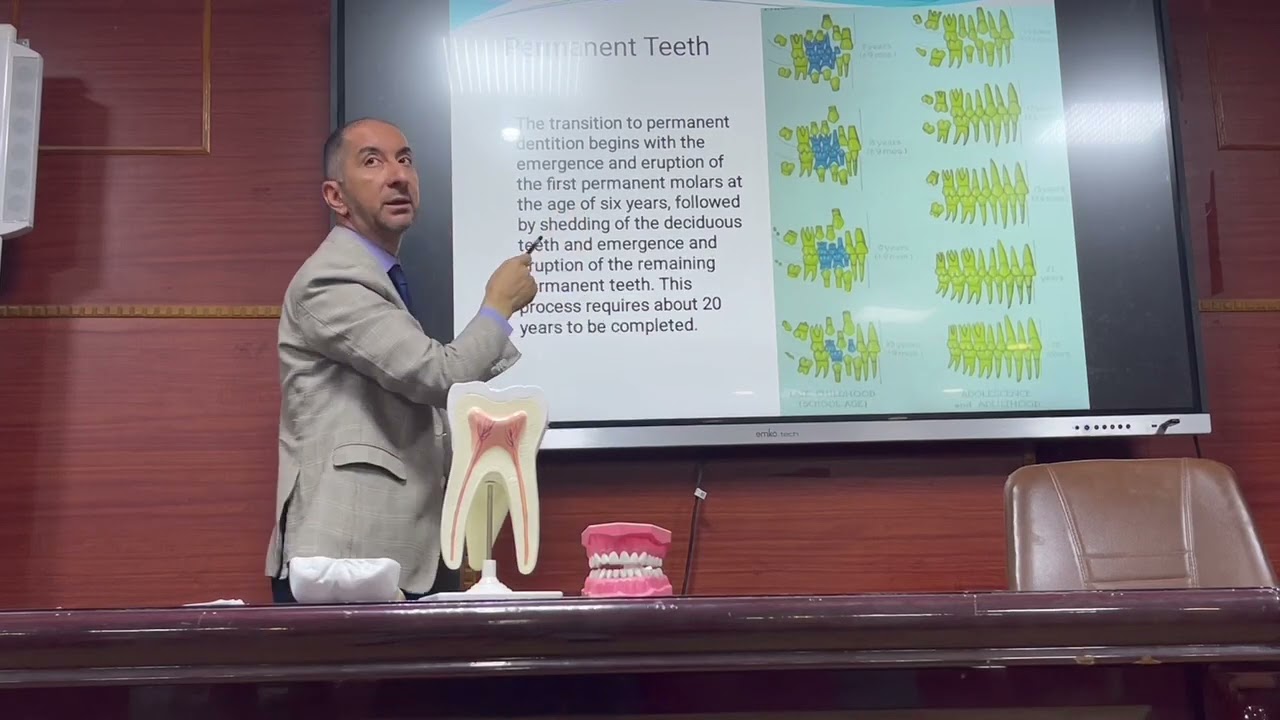 Dental Anatomy: المحاضرة الاولى
