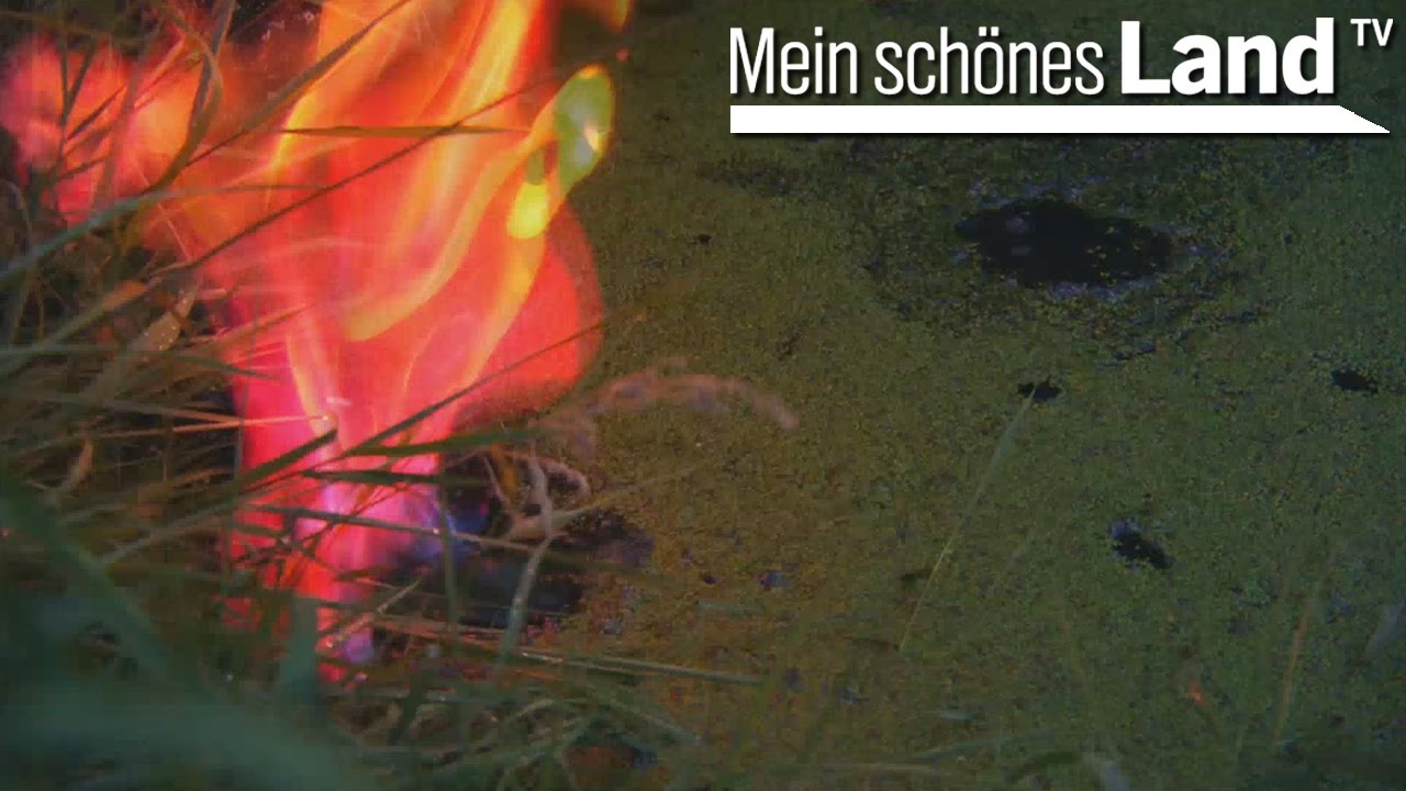 Metangas im Wesermarschland