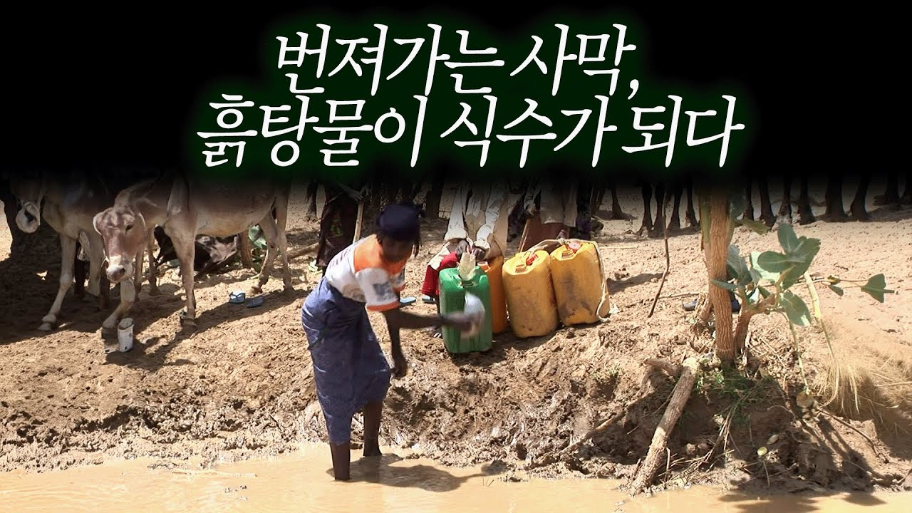 번져가는 사하라 사막.. 사람과 가축 모두 흙탕물을 마신다 [환경스페셜 특집 지구 환경 대탐사 4편 영혼의 땅 사하라의 경고] / KBS 20060823 방송