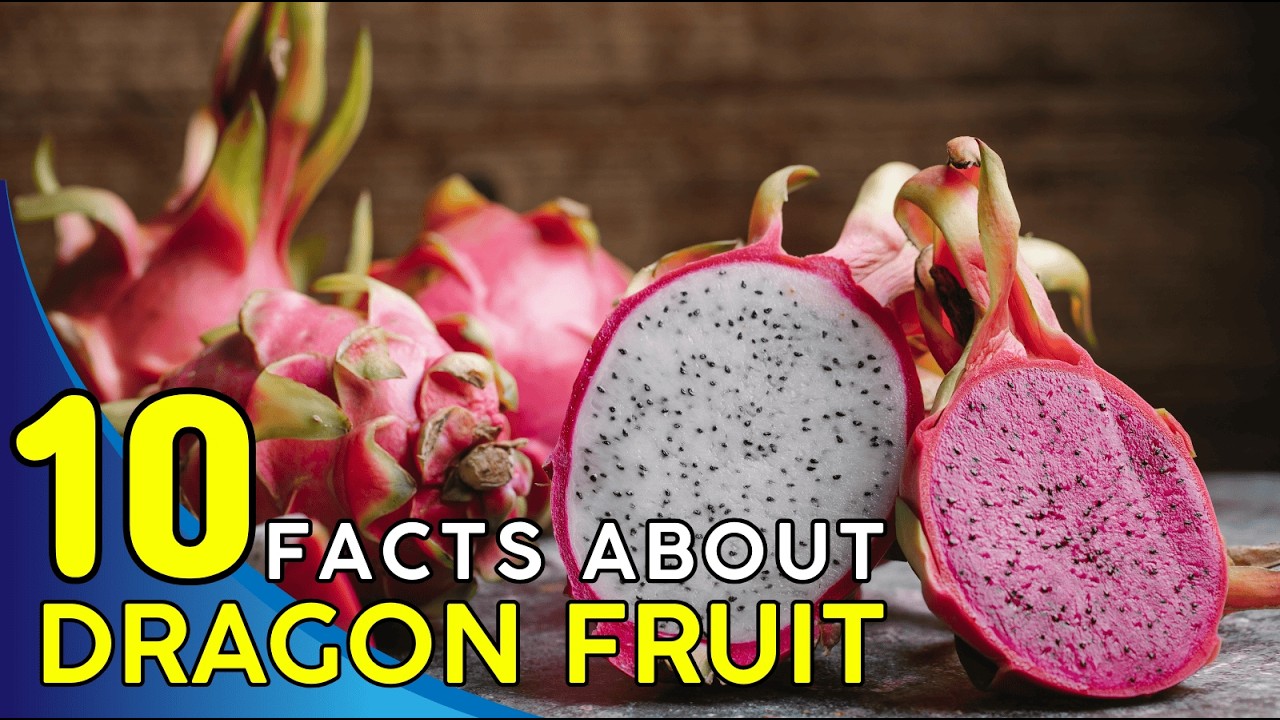 Dragon Fruit Explained: 10 Amazing Facts That Will Surprise You