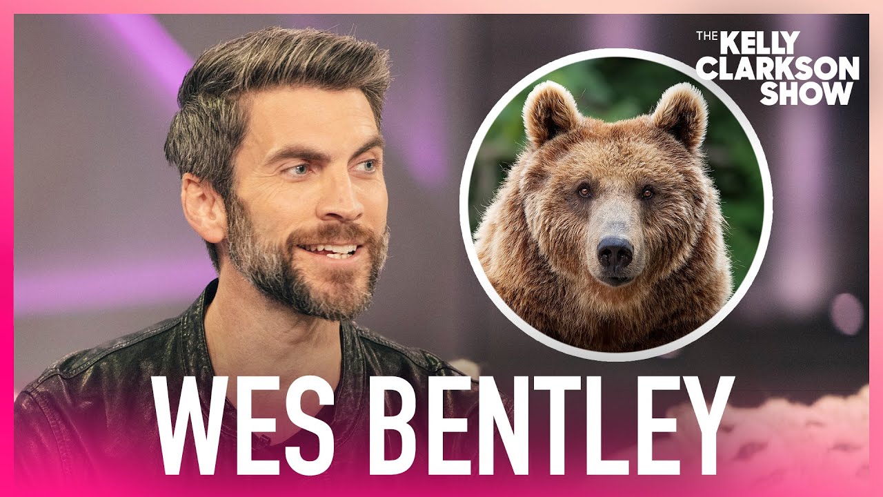 Wes Bentley Jokes He Injured Foot &lsquo;Roundhouse Kicking A Bear&rsquo;