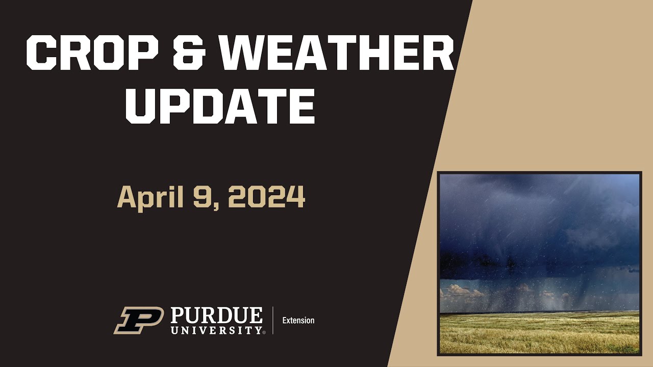 Purdue Crop & Weather Update - April 9th, 2024