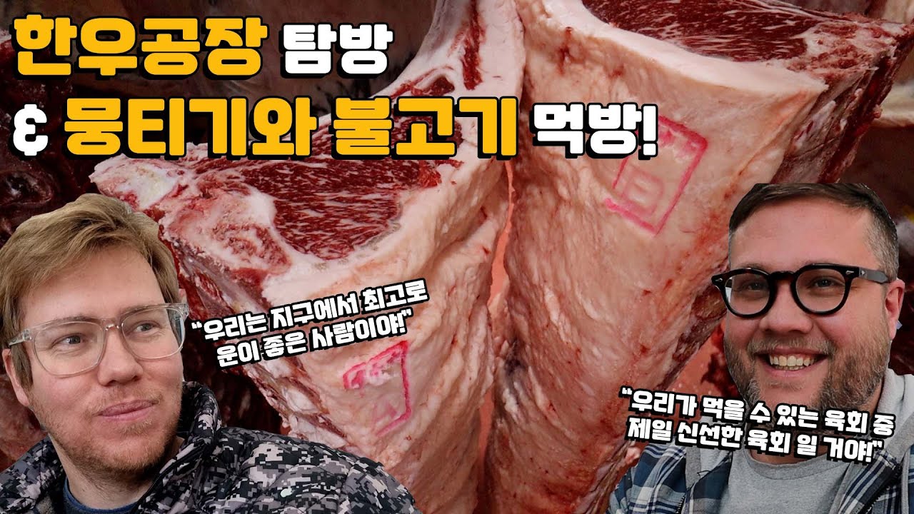 제 남아프리카정육사 친구의 한우공장 탐방 반응은? 거대한 한우공장 탐방 & 한우 뭉티기와 무한리필 불고기 외국인 먹방! Hanwoo Factory & Bulgogi Mukbang!