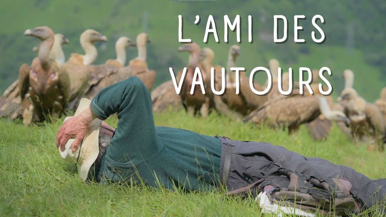 L'ami des vautours - Portrait 🦅✨